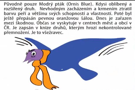 Obrázek