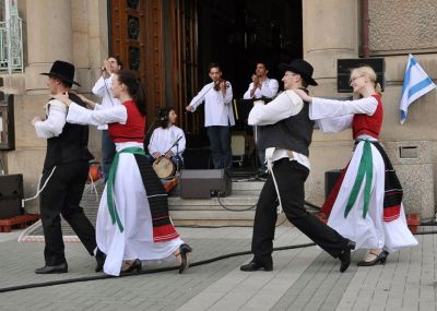 Obrázek