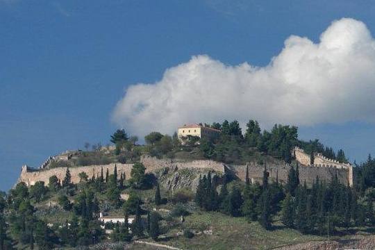 Obrázek