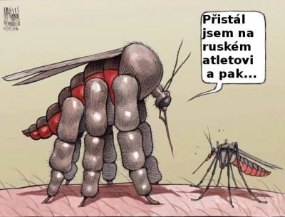 Obrázek