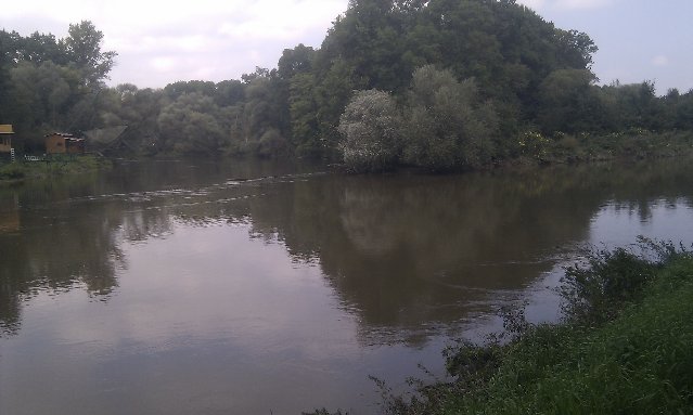 Obrázek
