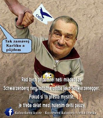 Obrázek