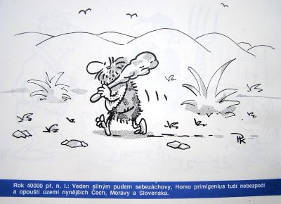 Obrázek