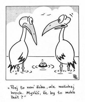 Obrázek