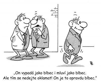 Obrázek