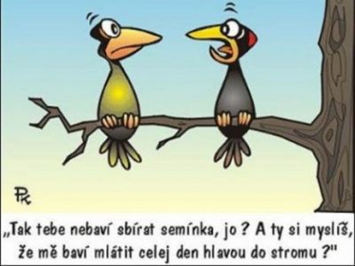 Obrázek