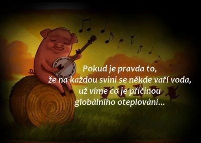 Obrázek