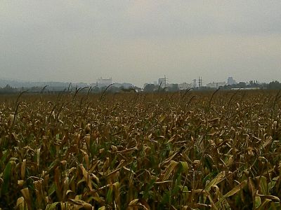 Obrázek