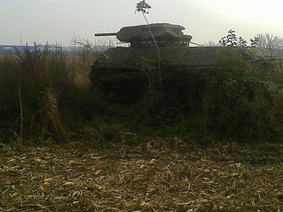 Obrázek