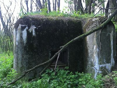 Obrázek