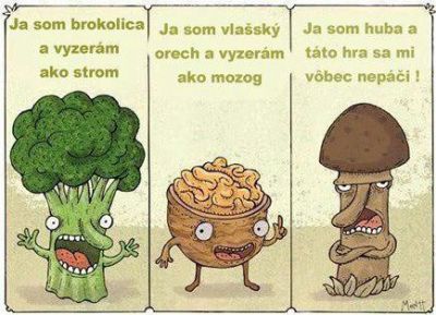 Obrázek
