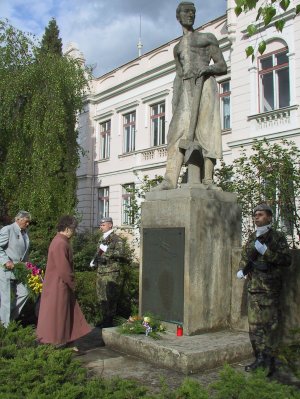 Obrázek