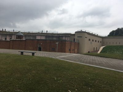 Obrázek