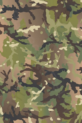 269d67940a41cdc5a935160ed8d73009.jpg (72.74 KiB) Zobrazeno 3589 x 269d67940a41cdc5a935160ed8d73009.jpg