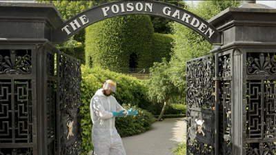 PoisonGarden8.12PM.png (1.13 MiB) Zobrazeno 1886 x PoisonGarden8.12PM.png