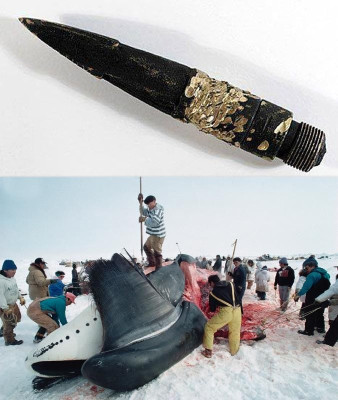 77192881_459916861328215_4109112696618614784_n.jpg (98.3 KiB) Zobrazeno 1520 x 77192881_459916861328215_4109112696618614784_n.jpg