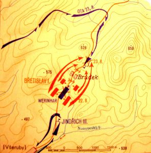 Obrázek