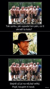 Obrázek