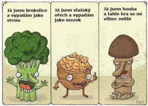 Obrázek