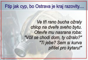Obrázek
