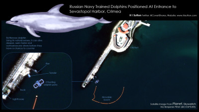 Russian-Navy-Dolphins-In-Sevastopol66.jpg