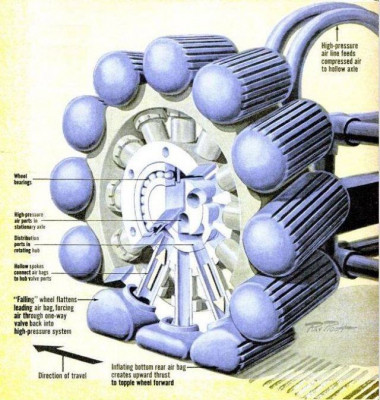 50287005_304579626861940_2275398850795536384_n.jpg