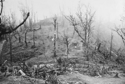 Garrison_Hill_Kohima_Wikipedia_1944_22.jpg