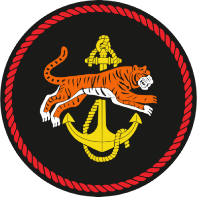 155th_Guards_Marine_Brigade_Patch.png