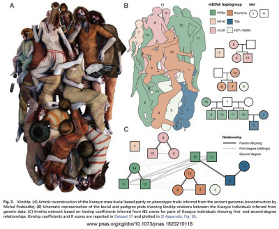 Late_Neolithic_mass_grave_Fig_3.jpg