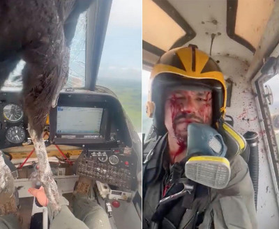 A-huge-bird-struck-a-military-plane-leaving-the-pilot-injured.jpg
