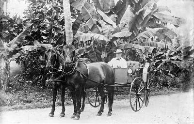 Bundesarchiv_Bild_137-31813,_Samoa,_Dr._Wilhelm_Solf.jpg