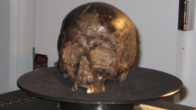 _110431817_iron-age-skull-2.jpg