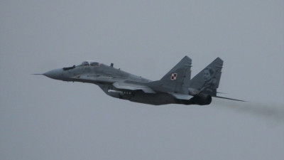 IMG_6317.jpeg