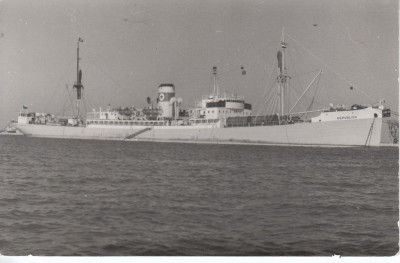 358d0da673_83108849_v2.jpg