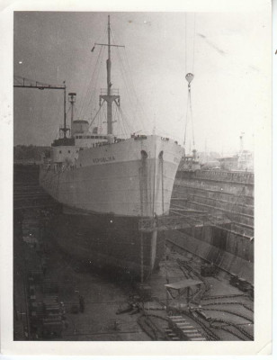 63bf32da0f_91820763_v2.jpg