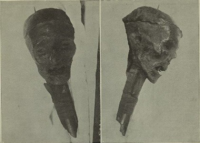 Cromwell's_Head_-_1911_news_photos_(better_copy_of_news_photo_cropped).jpg