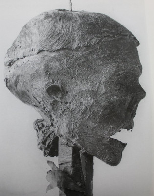 Cromwells-Head-Close-Up.jpg