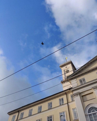 IMG_3794.jpeg