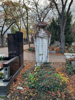 800px-Olšany-VítězslavJanovsky1925.jpg