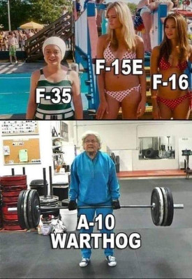 FB_IMG_1724483934736.jpg