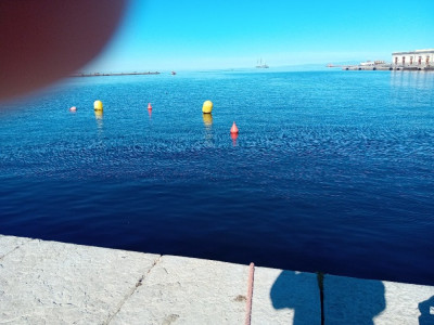 20240910_092455.jpg