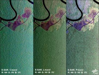 forest_wavelength_example_kalimatan-1320x993.jpg