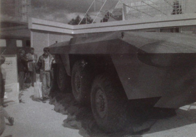 zubr_1.jpg