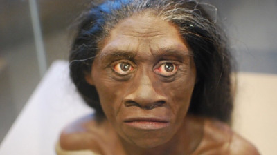 Homo-Floresiensis-iko.jpg