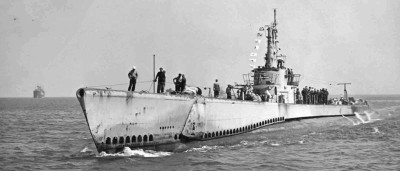 Sealion-2.jpg