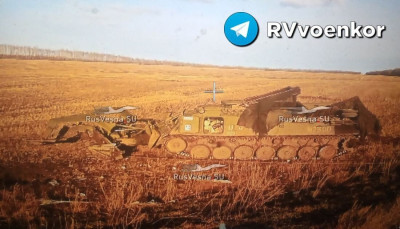 bergpz_leo_01.jpg