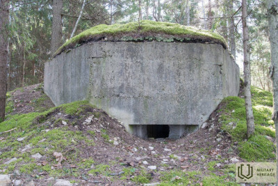 203-Sarve-Lehtma-kaitseliin-MM.jpg