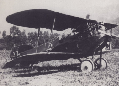 p3.jpg