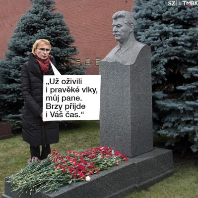 tmbk.jpeg