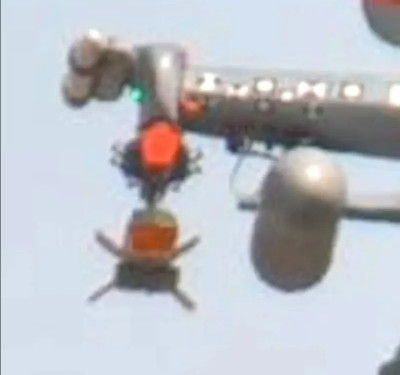 red wolf.jpg